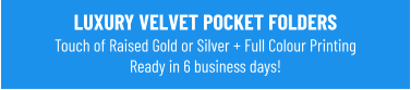 LUXURY VELVET POCKET FOLDERSTouch of Raised Gold or Silver + Full Colour Printing Ready in 6 business days!