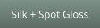 Silk + Spot Gloss